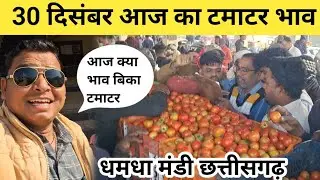 30 December 2025 tomoto price today #Rohansabjiwala #cg #farming #food #tomato 