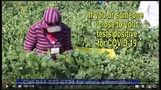 COVID-19 Supplemental Paid Sick Leave