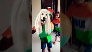 #Lakdi ki kati pe 🐴🐴🐴🐴#viralreels #shartsfunny 😱😱😱#shortvideo #viralvideo #trending