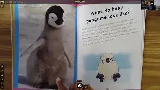 Those Perky Penguins read by Cindy Harper