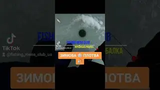 Не приманиш - не зловиш. Зимова Плотва #рибалка #зима #плотва #fishing #winter #roach #shorts