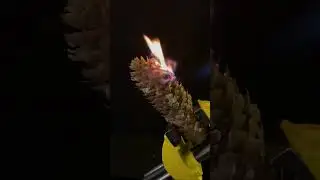 High speed Pine Cone vs. Gas Lamp close-up  #asmr #macro #slowmo #slowmotion