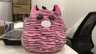 TY squish a boo song