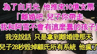 為了白月光 他推來10億支票，「離婚吧 兒子你帶走，我和阿雪不會有這麼蠢的孩子」我沒說話 只是拿到離婚證那天，兒子28秒毀掉顧氏所有系統 他瘋了【琉璃】【甜寵】【霸總】