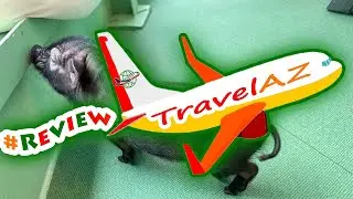 「TravelPZ」 Review Micro Pig Cafe Experience in Osaka
