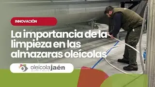 La Importancia de la Limpieza en Almazaras: Clave para un AOVE de Calidad