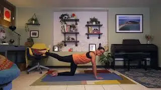 Full Body CARs & Mobility