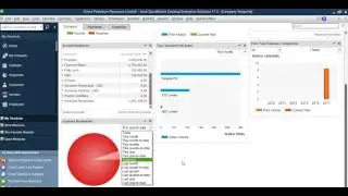 QuickBooks Reporting - Profit or Loss, Balance Sheet, Cashflow
