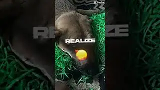#funny #boredbrain