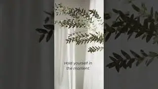 Take A Moment: Sensory Reset