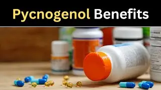 Pycnogenol Benefits