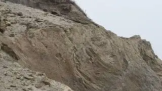 Different sediment layers exposed due to beach erosion