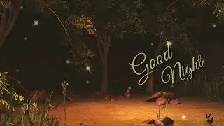 Good night wishes | animation | Good night whatsapp status