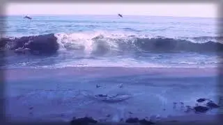 Dive into trance music video relax ocean