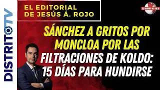 🔴EDITORIAL del D&Iacute;A🔴S&Aacute;NCHEZ A GRITOS POR MONCLOA POR LAS FILTRACIONES DE KOLDO: 15 D&Iacute;AS PARA HUNDIRSE