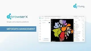BBrowserX: Metadata Management