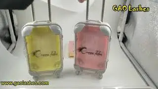 classic lash cases , Lash case toys for the yang