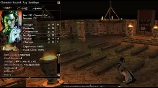 Neverwinter Nights Multiplayer Roleplay | Dungeons & Dragons Gameplay