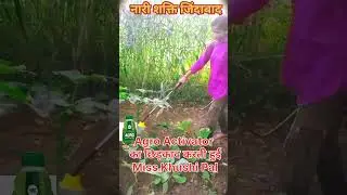 #Nari_shakti_jindabad Miss Khushi Pal Agro Activator Spray karti hui  #viral #shorts #imc #ytshorts