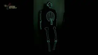 JHD E0024-Fashion Bone design suit EL Clothing Cold Light Glowing Dance LED Clothing
