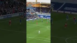 The view of St Andrews #shorts #bcfc