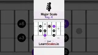 Major Scale in the key of E | Scale Chart For Beginners Bass Players