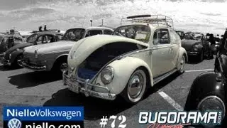 Bugorama #72