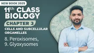 11th Class Biology Chapter 3 | Peroxisomes, Glyoxysomes | Class 11th New Book 2025