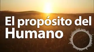 ☕ &iquest;Cu&aacute;l es el Prop&oacute;sito de la experiencia humana? | #aceptologia #gerardoschmedling