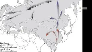 Finnish genetic male lineage is East Asian Chinese Y-DNA - Miss Finland racist eye joke Sarah Dzafce