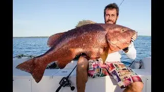 slow jigging Panama - cubera snapper