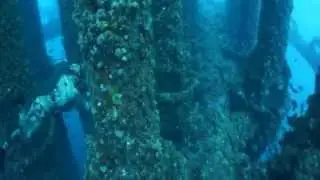 Spearfishing Snapper at Oil Rigs Louisiana with Cameron Kirkconnell, David Dynof, Ryan Poole
