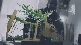 Girl Next Door (Visualizer)