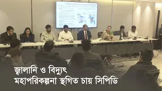 জ্বালানি ও বিদ্যুৎ মহাপরিকল্পনা স্থগিত চায় সিপিডি | CPD | Energy | Power | Electricity | Master plan