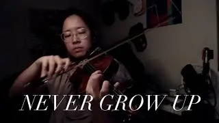 Never Grow Up 🎻 (Taylor Swift violin cover) #speaknowtv