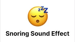 Snoring Sound Effect 