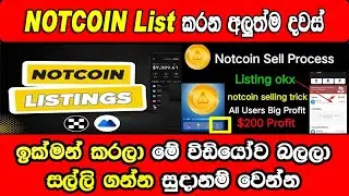 Not Coin Launching On OKX & MEXC | Notcoin Listing Date New Update | Not Coin Price Airdrop Sinhala
