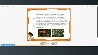 Amphibian ESL Reading Lesson (B1+) | Habitats and Characteristics of Amphibian Species