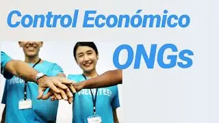 Plantilla Excel para ONGs, Fundaciones y Asociaciones | Control de Ingresos y Gastos