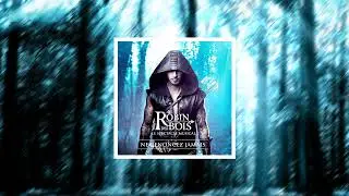 Robin Des Bois - Si L'amour Existe (Instrumental)
