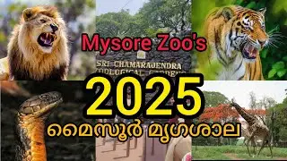 മൈസൂർ മൃഗശാല2025 Mysore Zoological Garden 😯😯😳