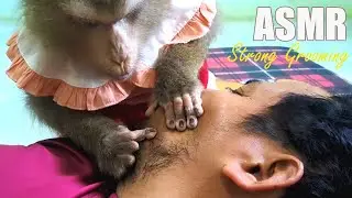 Dr. LYLY Chorping Pull Hair Neck Impress Talented