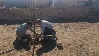Real nomadic life | Feeding sheep and building a pen