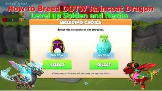 How to Breed Dragon of the week Raincoat-Dragon Mania Legends | Level up Solden and Nezha | DML