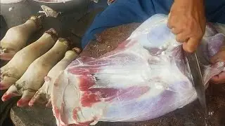 55 Kg Beef Meat Cutting Into Pieces || Full Buffalo Cutting By Skilled Butcher || MK Cutting Skills