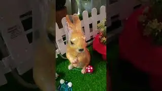 Garden decor items