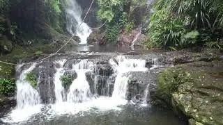 Elabana Falls and Picnic Rock Trail Walk, Lamington National Park, Queensland