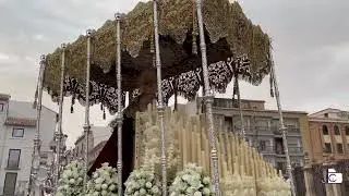 Encierro Catedral, Virgen de la Paz | Extraordinaria Hermandad Borriquilla Jaén 2022