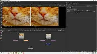 Spot the Difference with Nuke & Houdini   ,   تحديد الفروق بين صورتين باستخدام نوك وهوديني