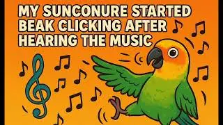 Моя солнечная попугайка Джули обожает музыку 🦜🎵 #солнечнаяпопугайка #поведениесолнечныхпопугаев #...